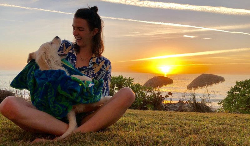 The every day beautiful sunset on Casey Key, made more precious with this pup!