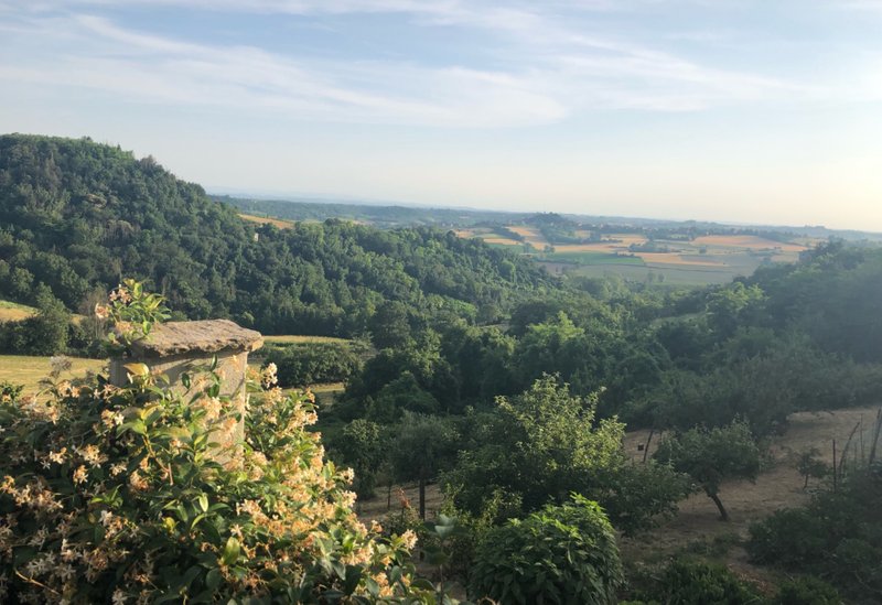 The view from Mattia’s courtyard where we stayed in Vignale