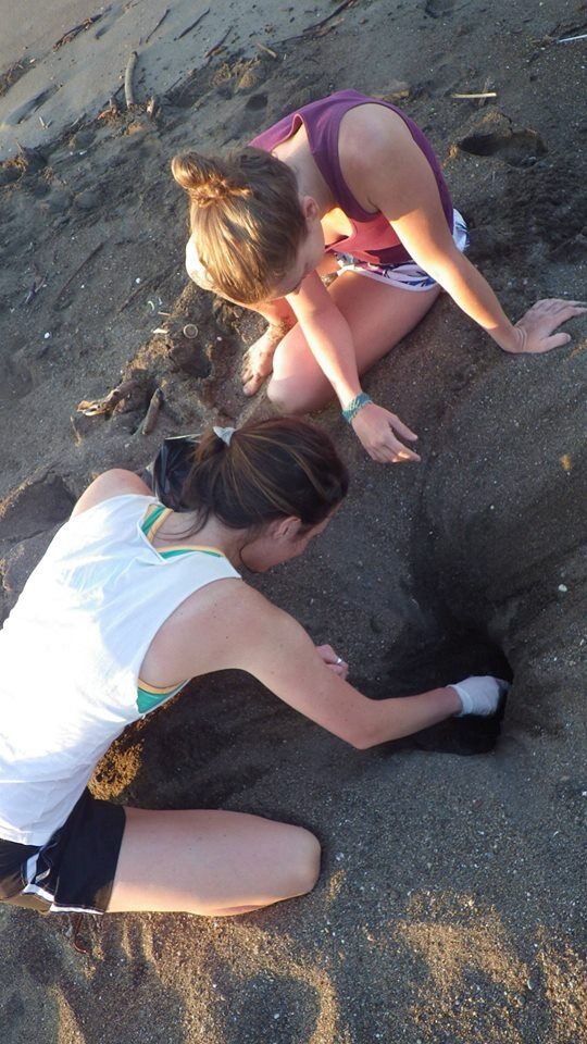 The two again, digging up a turtle nest to relocate to the sanctuary